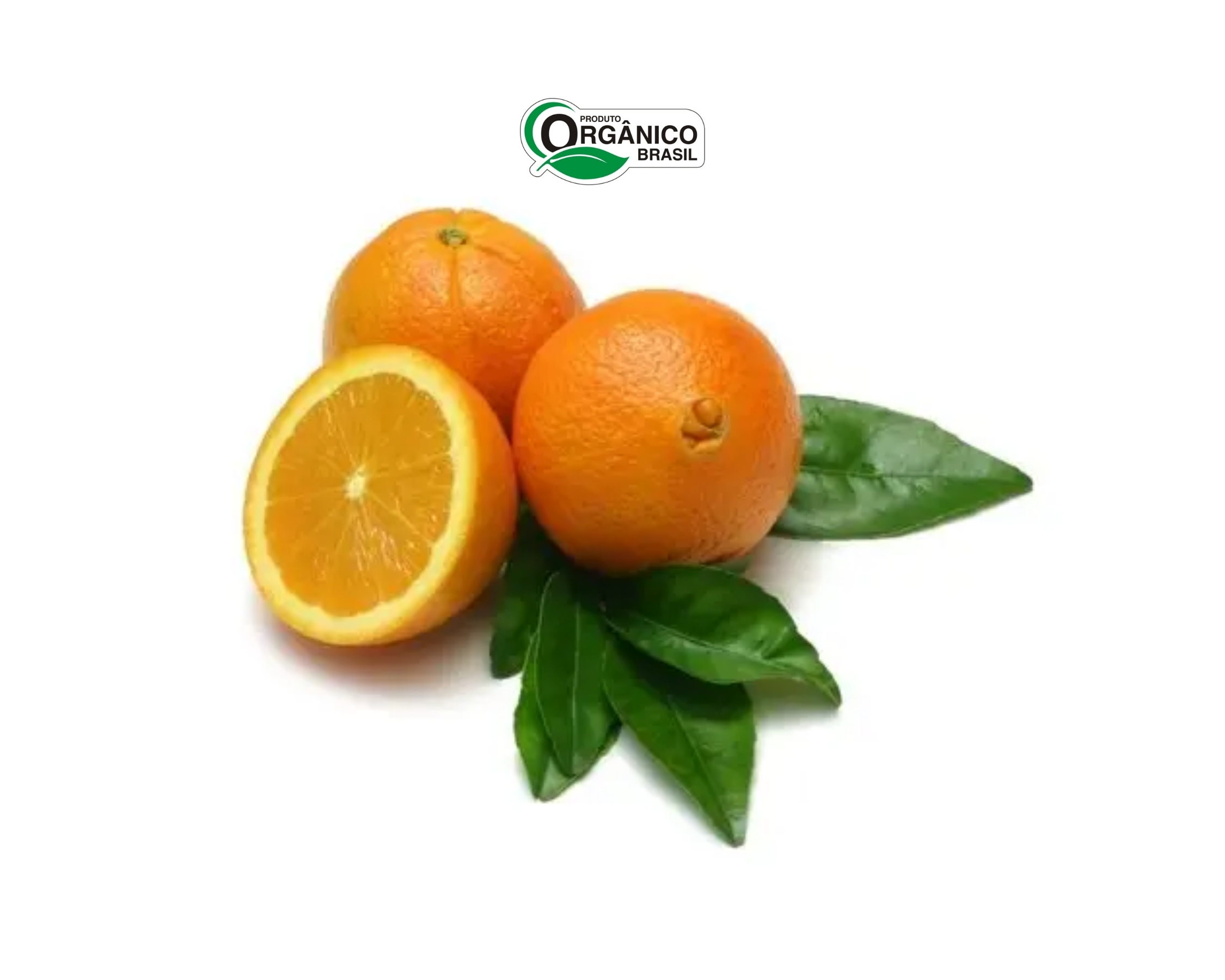 Laranja Umbigo Orgânica (1kg) - Fresh Orgânicos